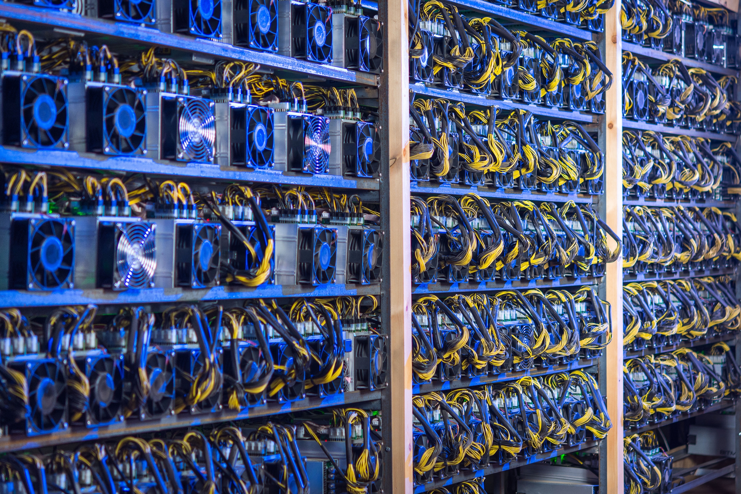 ccaf abd bitcoin hash oraninda yuzde 35 ile lider