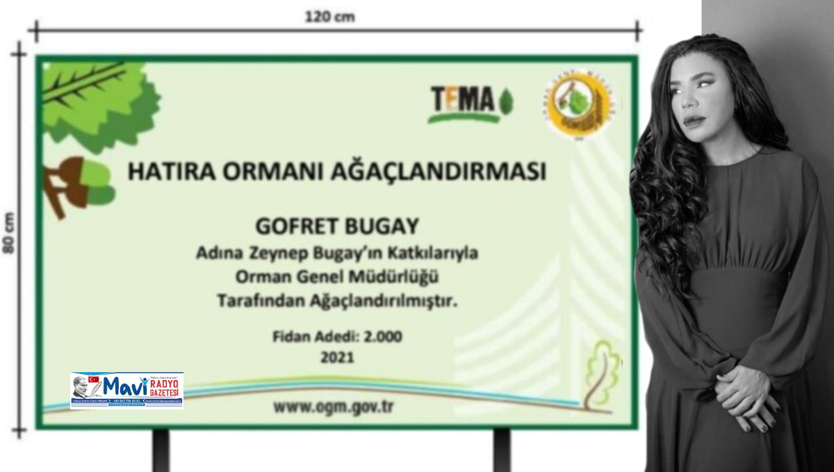 nft zeynep bugay