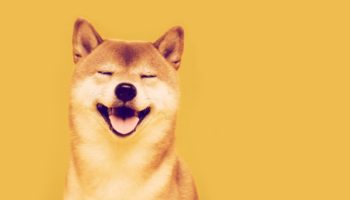 shib 3