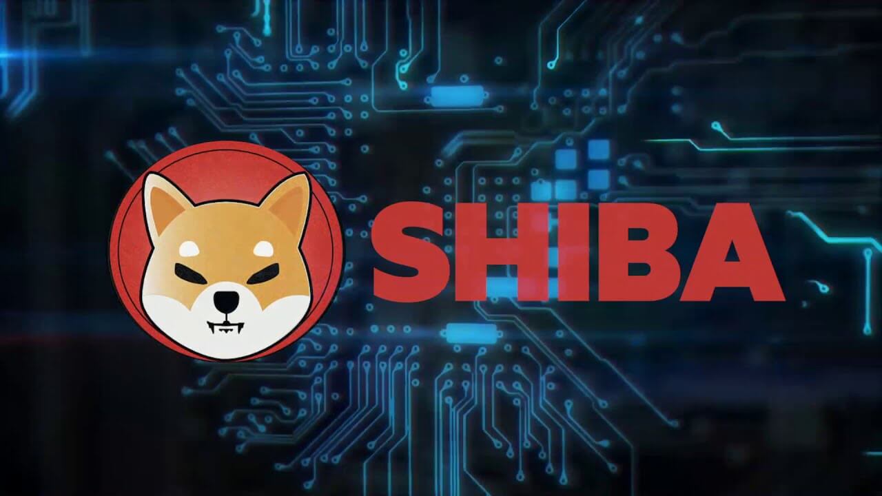 shiba inu