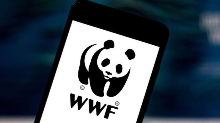 wwf