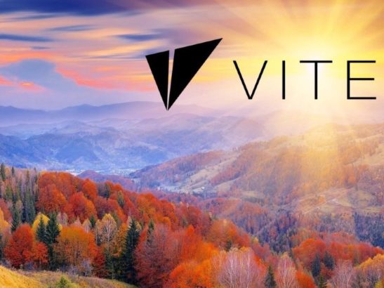 Vite Coin VITE nedir