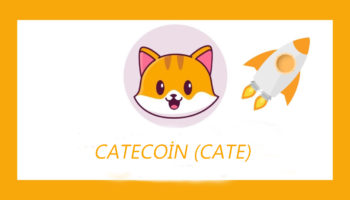 catecoin nedir