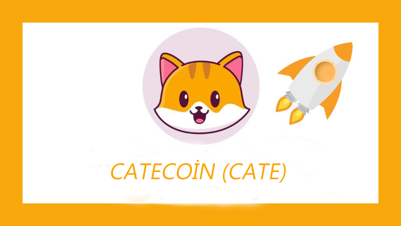 catecoin nedir
