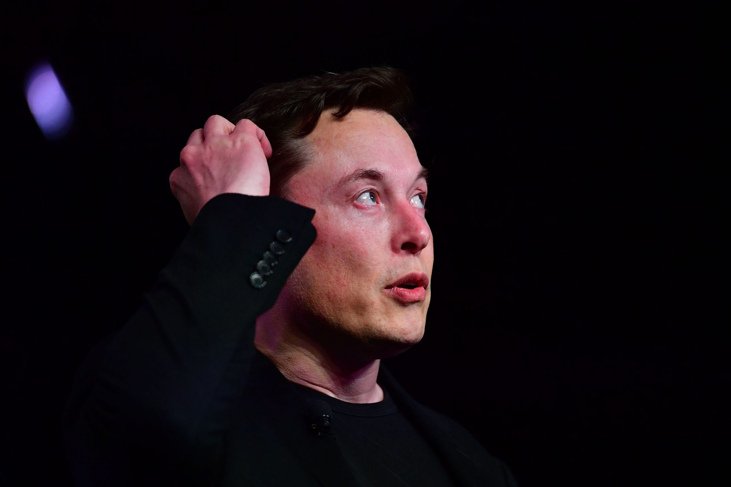 elon cz