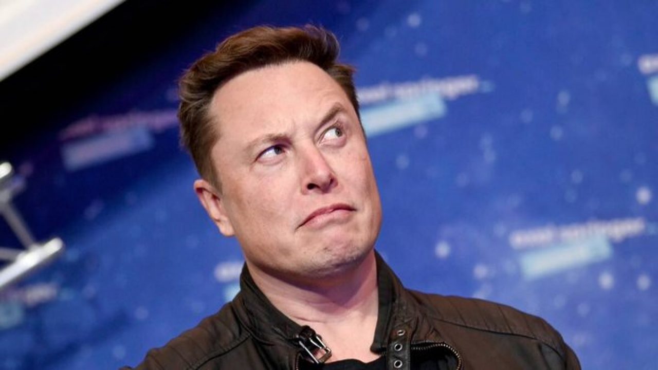 elonn