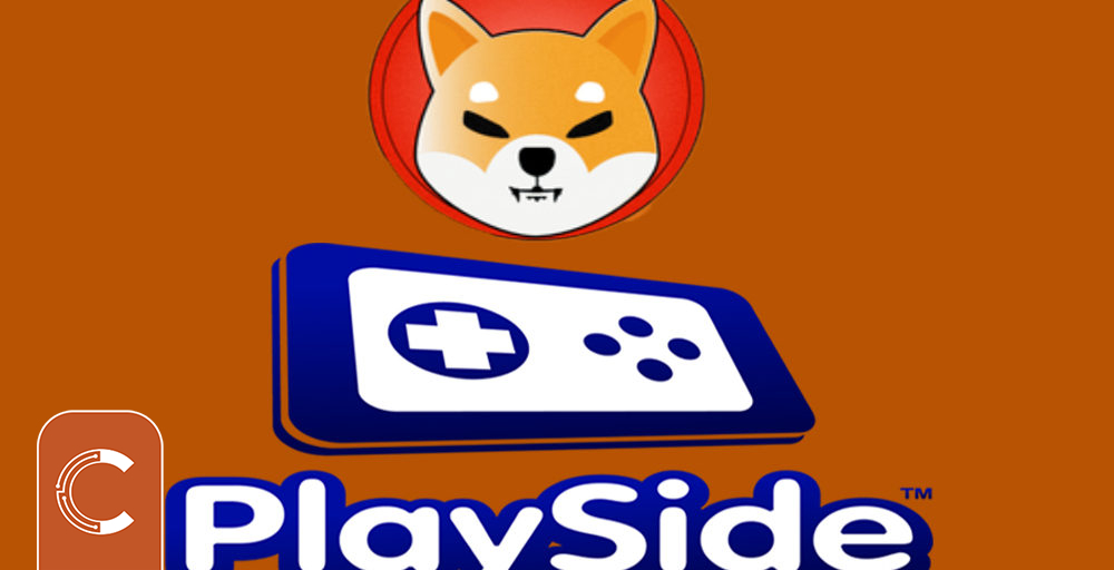 playside-shiba-inu-1000x512.jpg