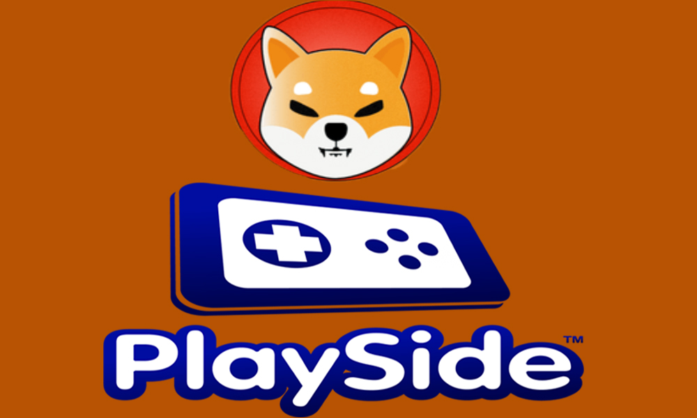playside shiba inu