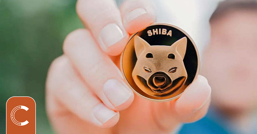 shiba-inu-2-980x512.jpg