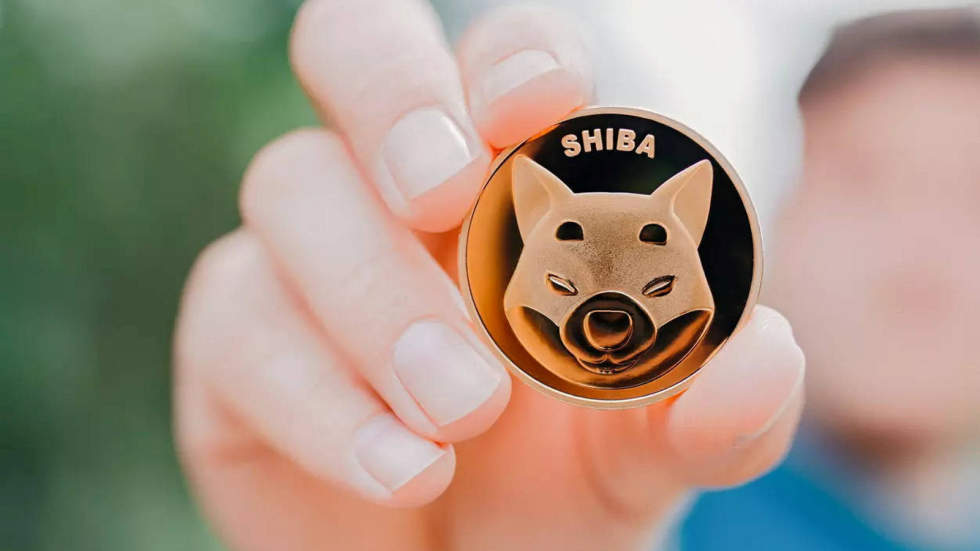 shiba inu 2