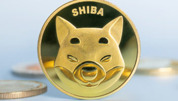 shiba inu