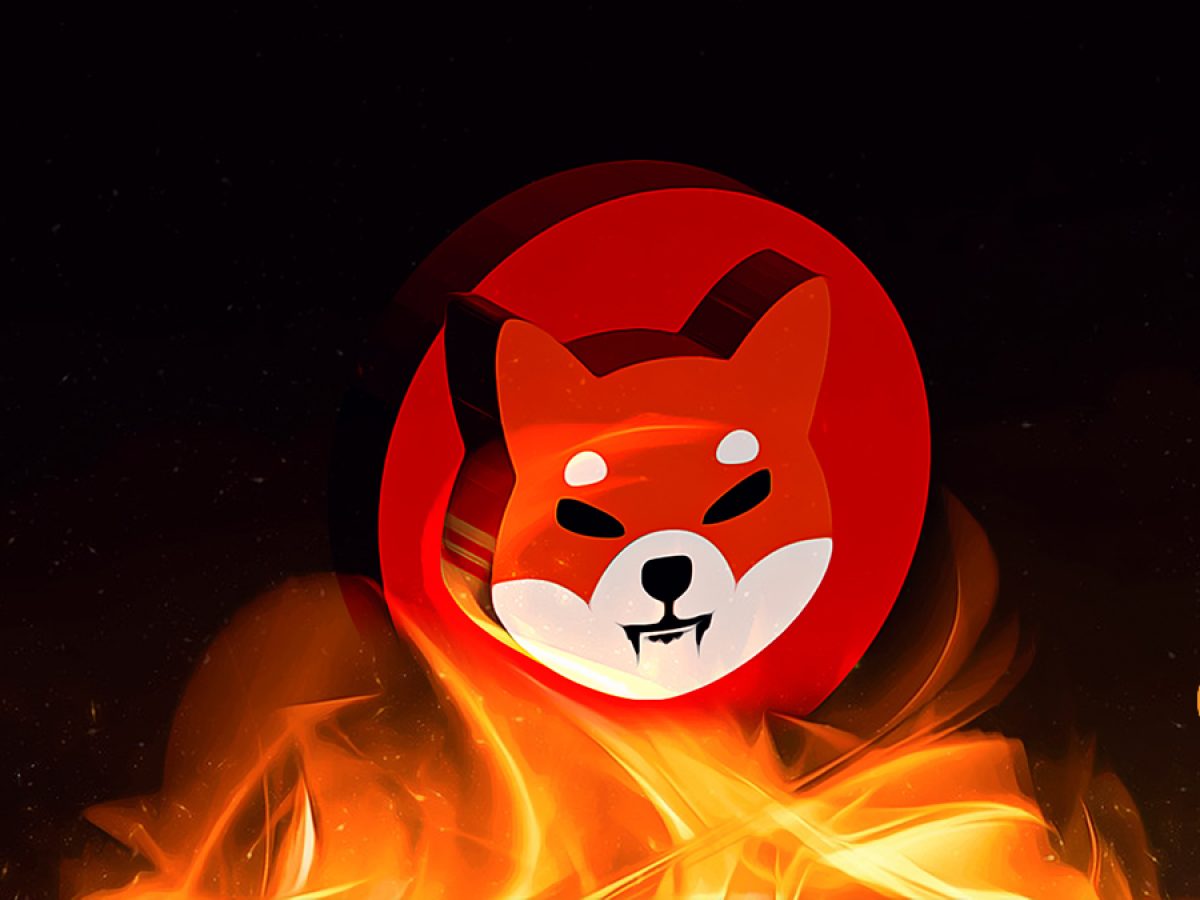 shiba inu shib 2