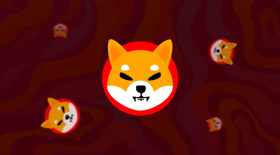 Shiba Inu yakıldı