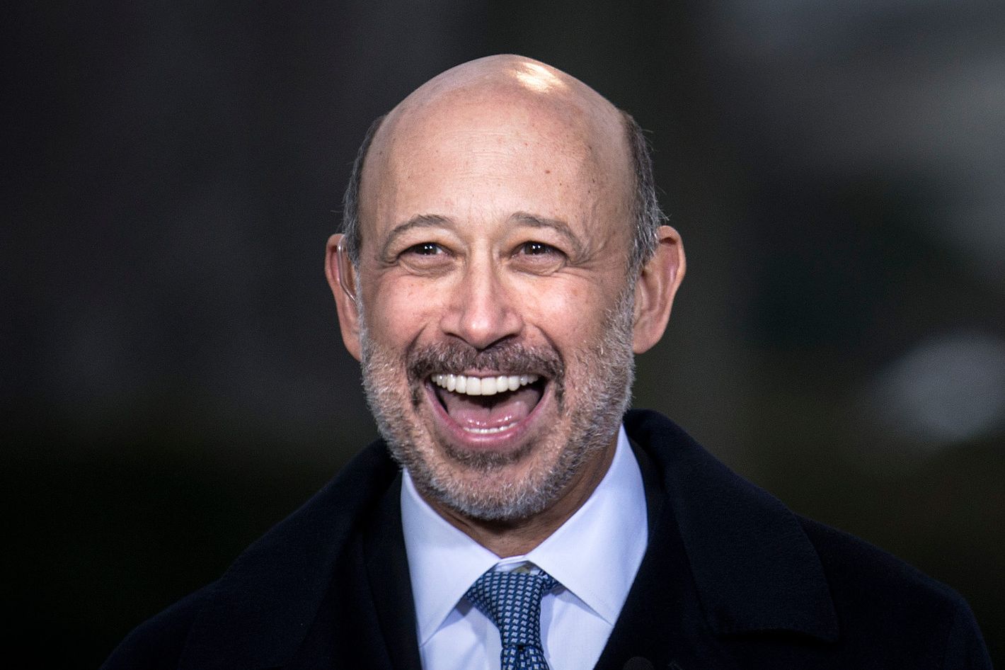goldman 1