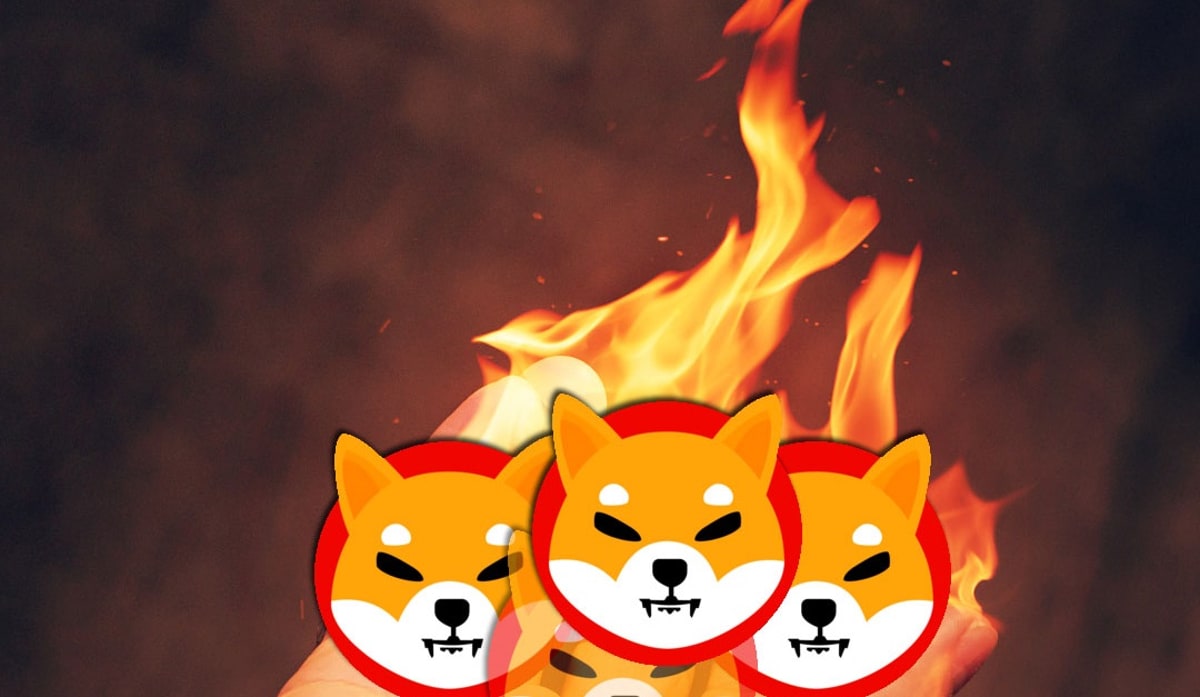 shiba inu yakildi