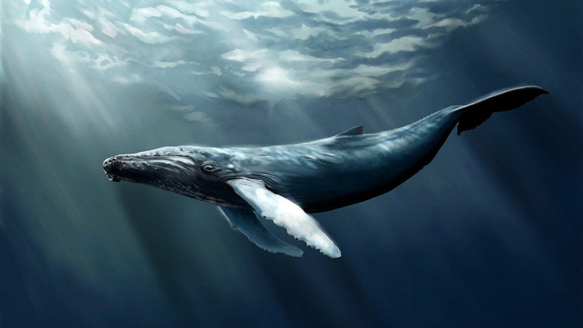 4434D757 67F0 482E BA37 7138FF73F235