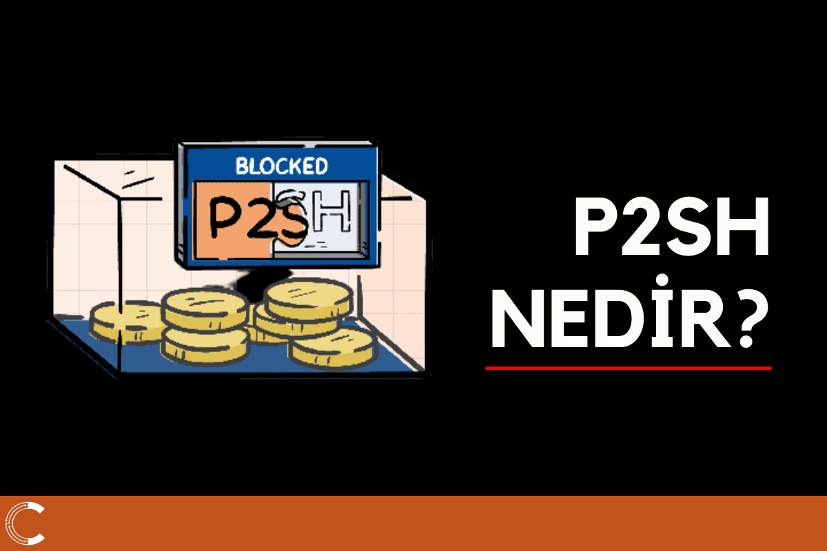 P2SH NEDIR