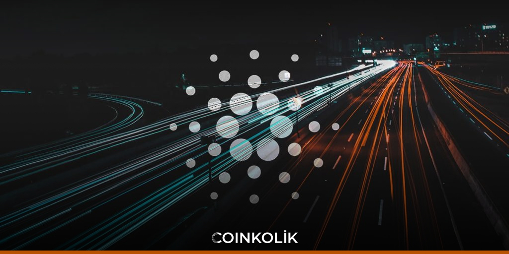 Cardano, Toplam Kilitli Değerde Büyümeye Devam Ediyor