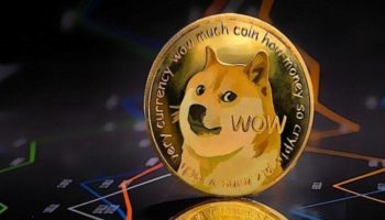 doge robinhood