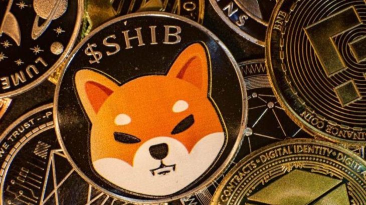 shiba inu