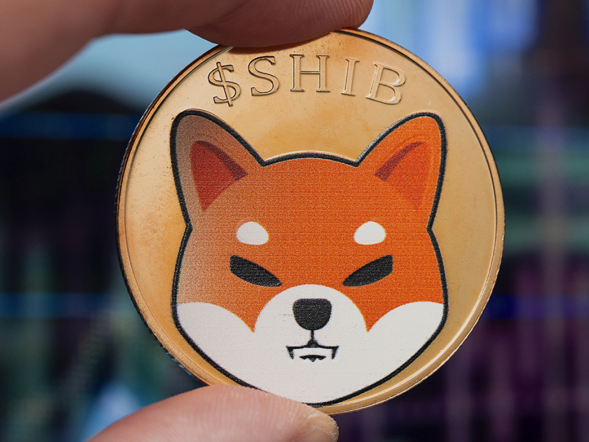 shiba inu balina bnb bsc