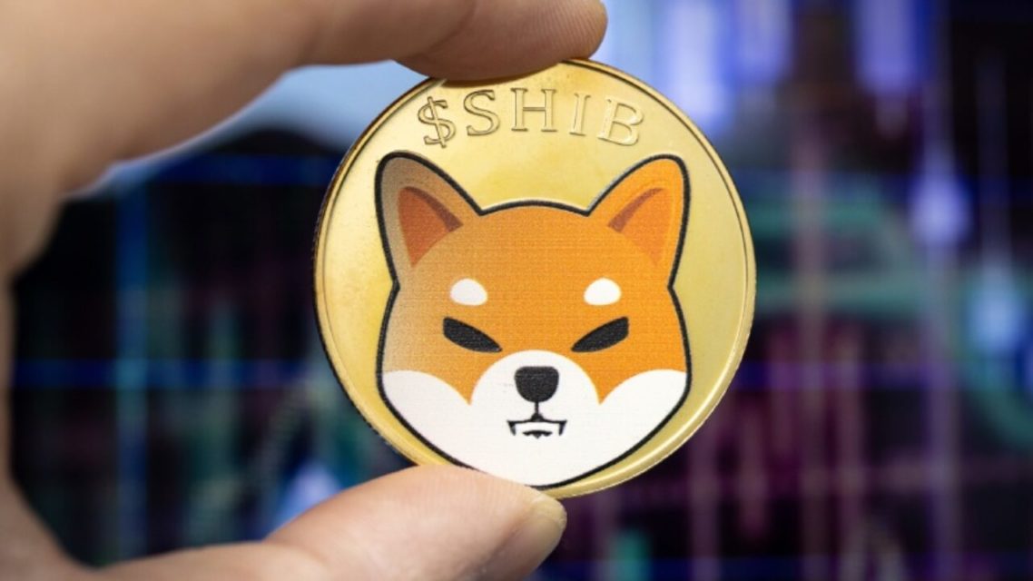 shiba inu shib