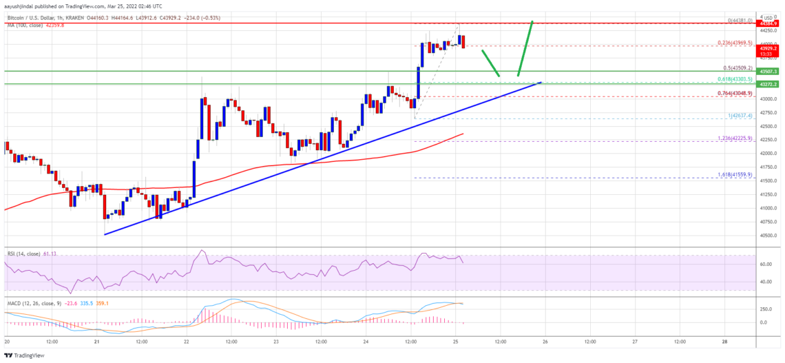 Bitcoin (BTC) Fiyat Analizi: İvme Kazandı, Yükseliş Devam Edecek mi? – 25 Mart 2022