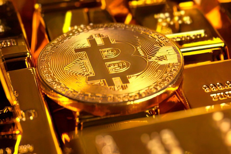 bitcoin gold rises to 113 due to investor errorr