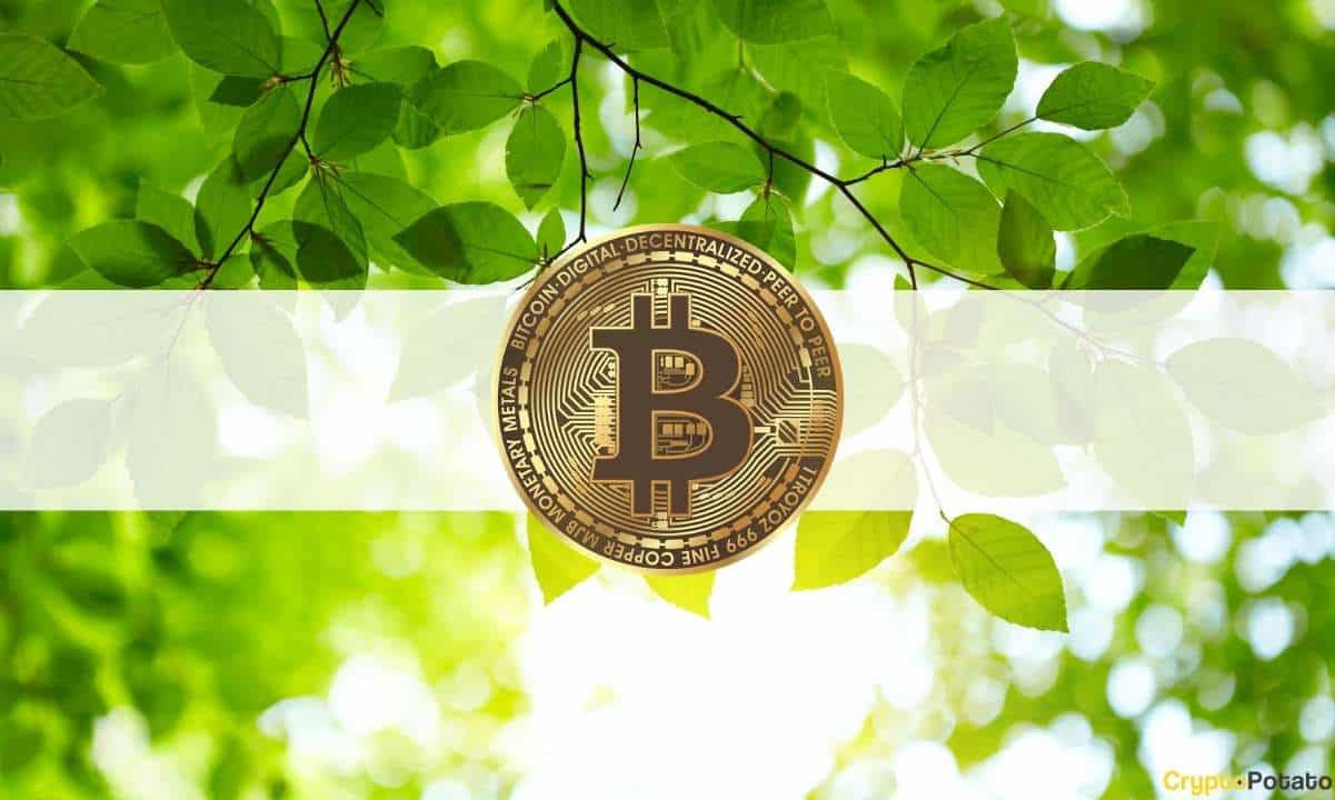 bitcoing greenpeace