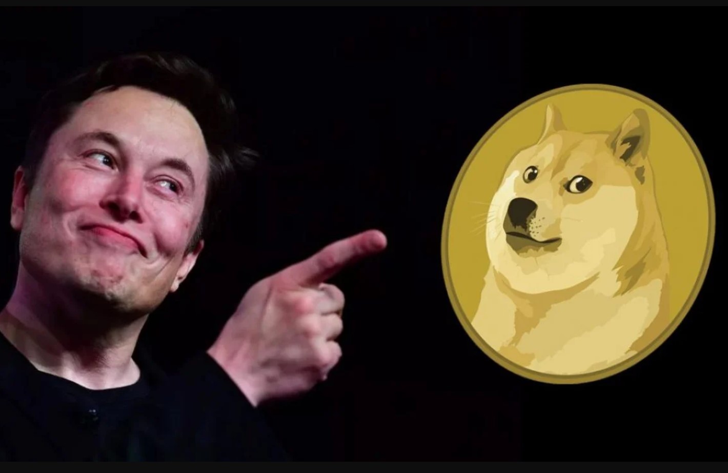 dogecoin 1