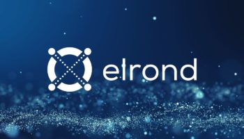 elrond odeme sirketi twispayi satin aldi 6