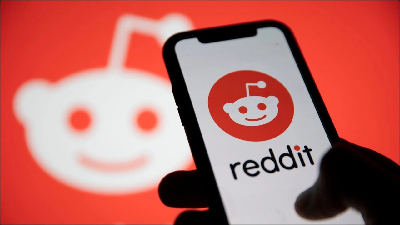 reddit