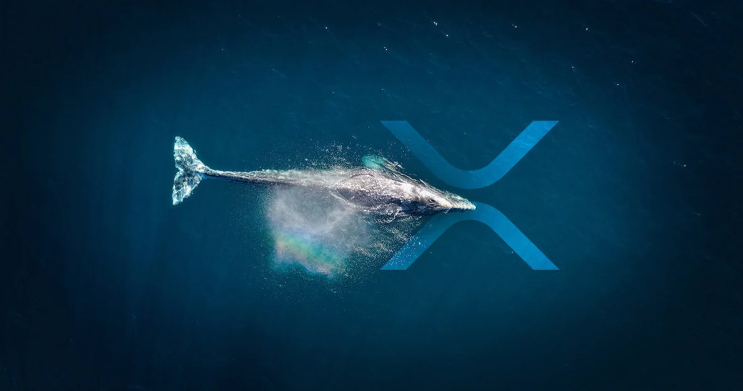 xrp 2