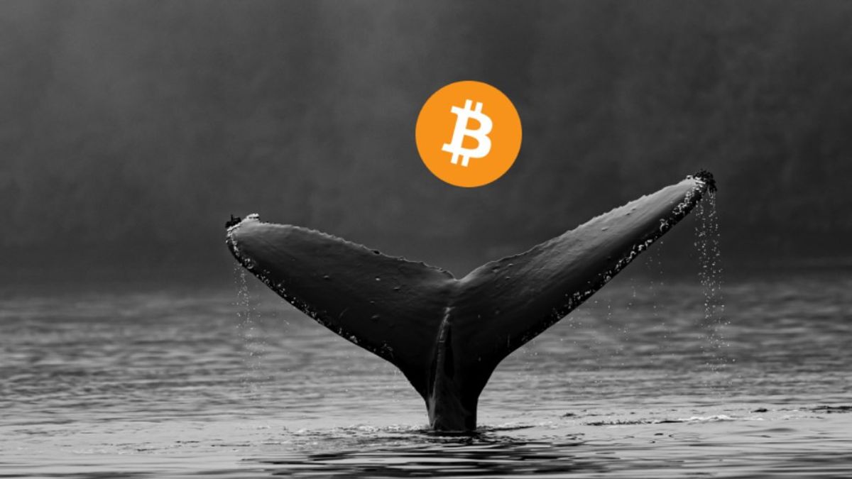 btc