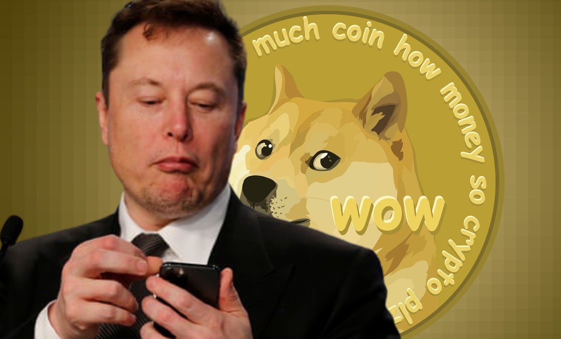 elon musk dogecoin twitter
