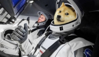 dogecoin elon muskin snl cikisinin ardindan zirvesinden yuzde 87 dusus yasadi