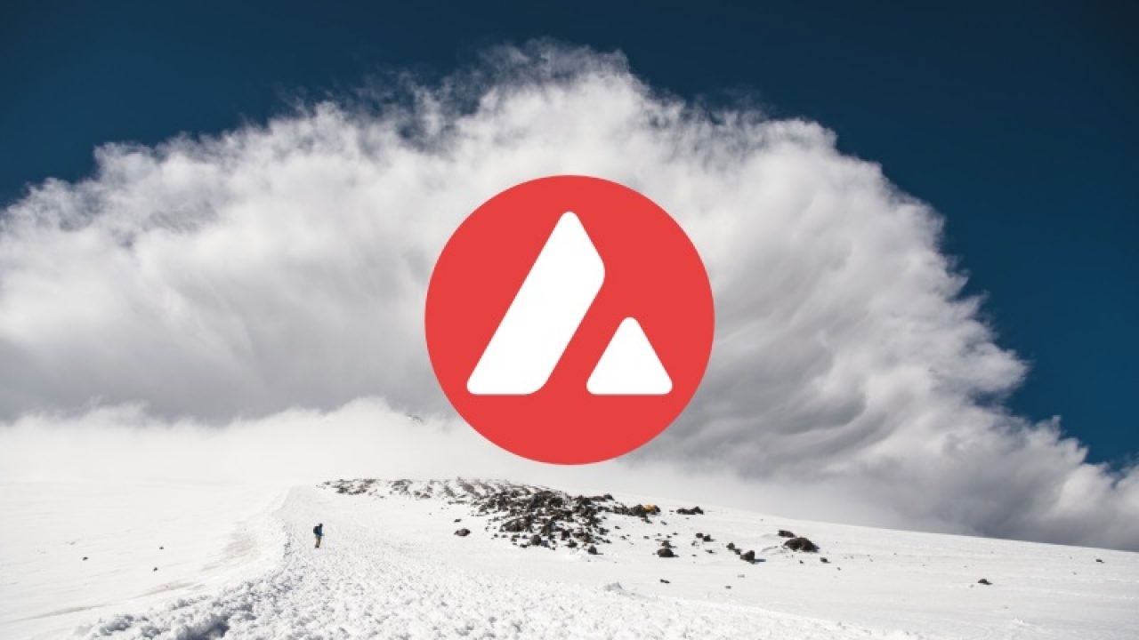 Valkyrie Investments, Avalanche Odaklı Yeni Bir Fon Başlattı 