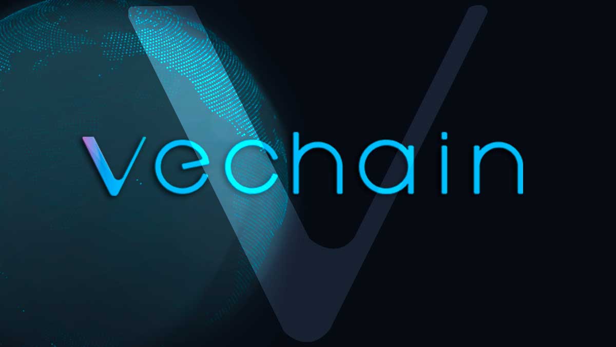 VeChain (VET) Vakfı, 1,2 Milyar Dolarlık Kripto Para Tutuyor