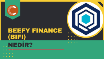Beefy Finance BIFI