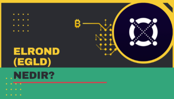 Elrond EGLD
