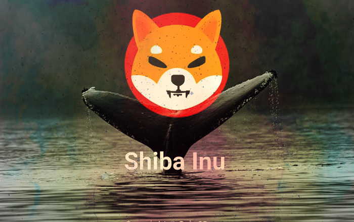 Shiba Inu Whale Buys 170 Billion SHIB Coins Worth 8 Million During the Dip
