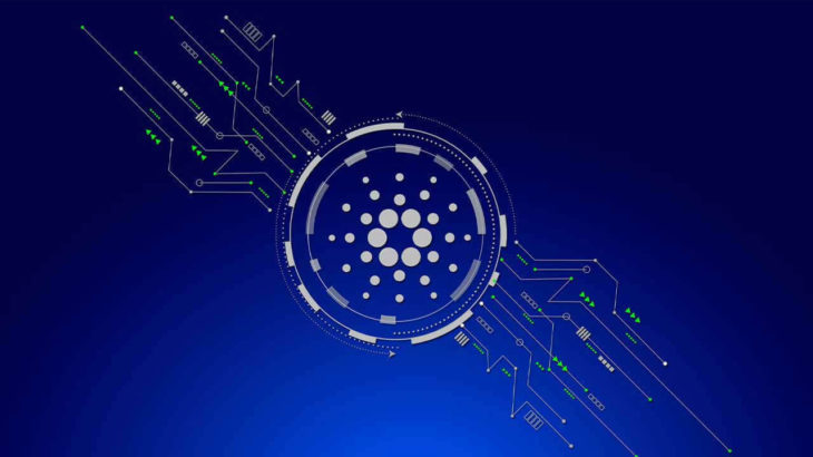 cardano vasil