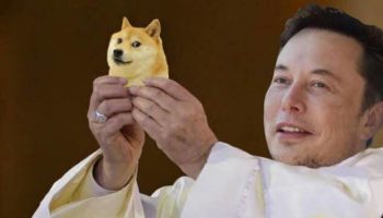 musk doge