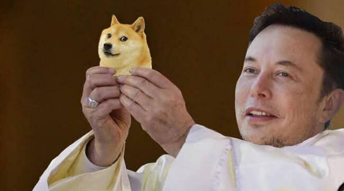musk doge