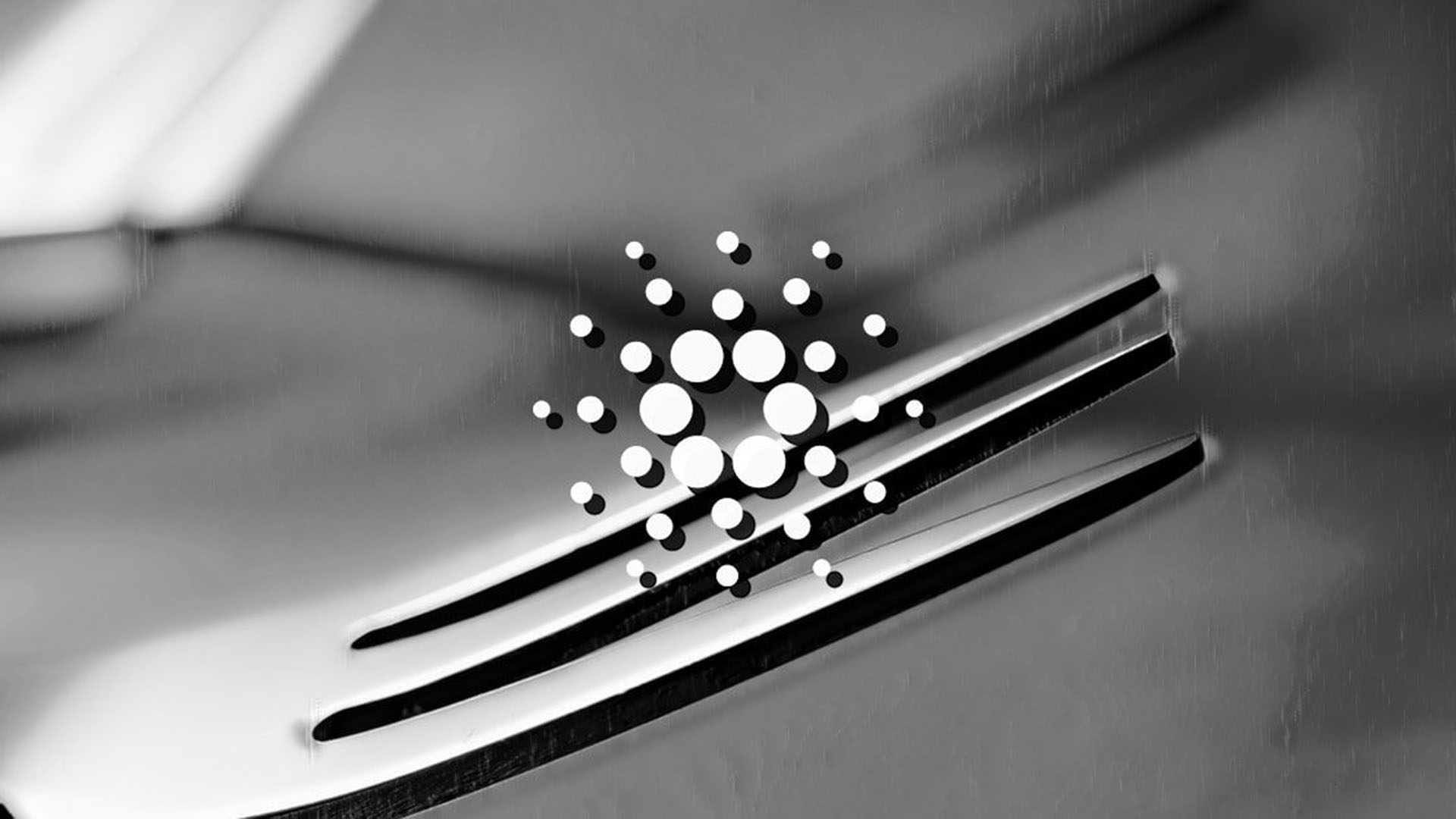 vasil cardano