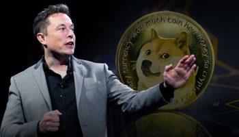 ELON dogecoin