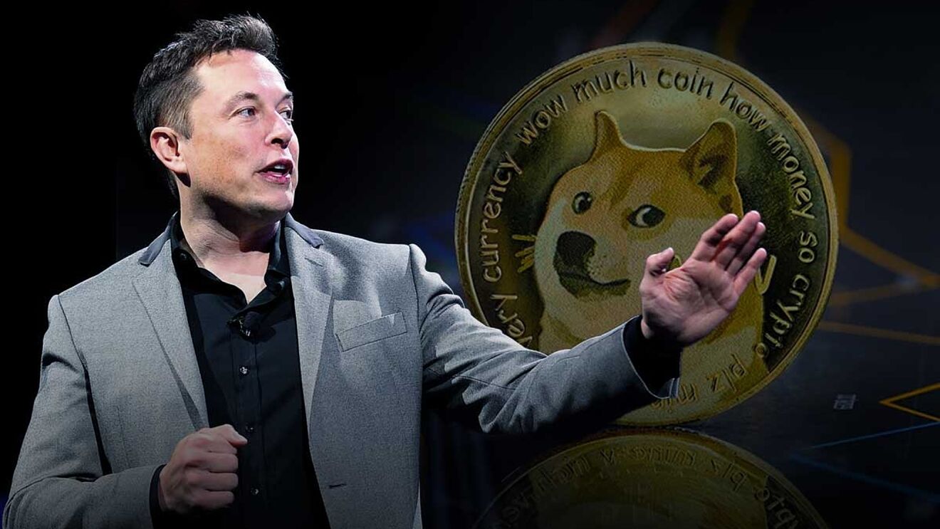 ELON dogecoin