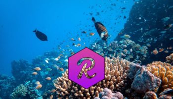 reef finance reef neden yukseliyor