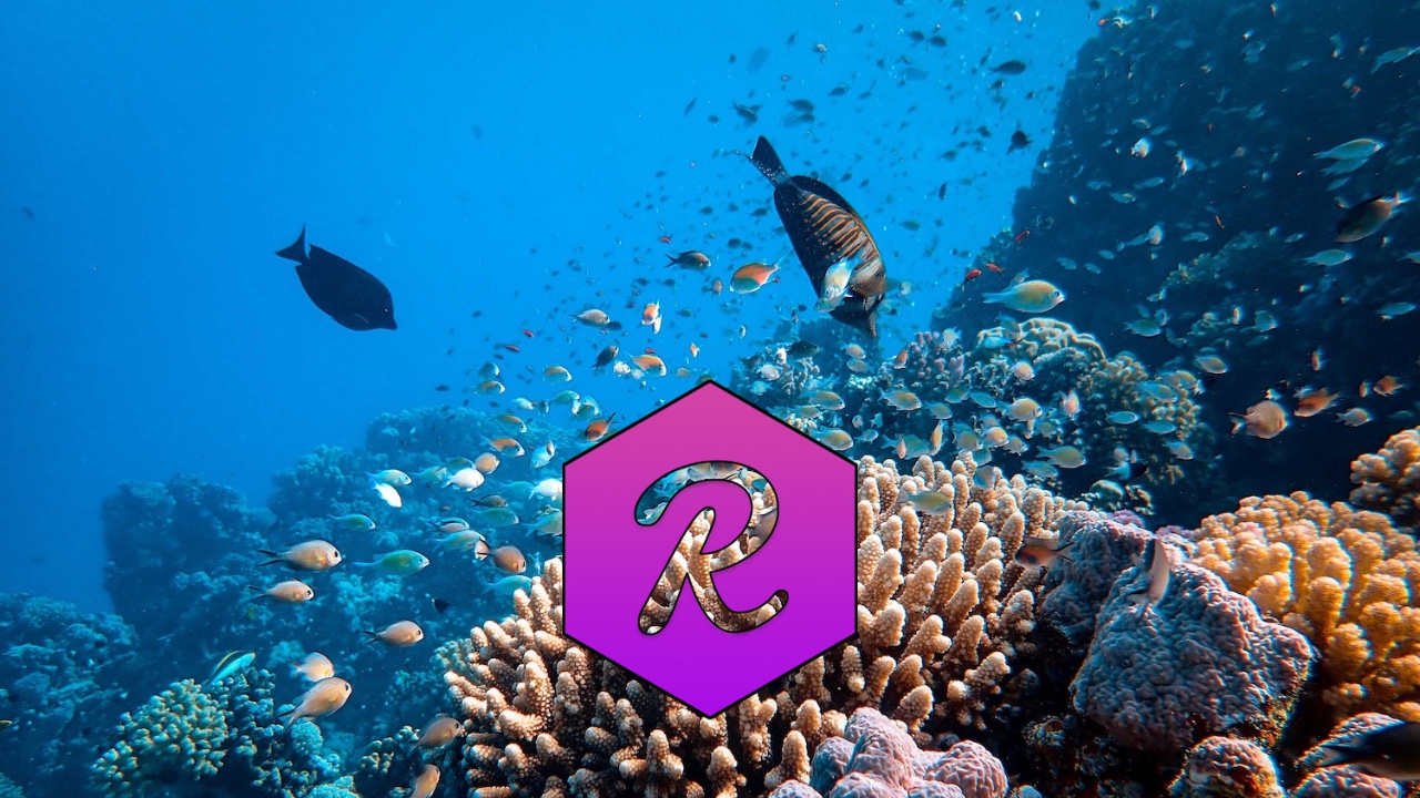 reef finance reef neden yukseliyor