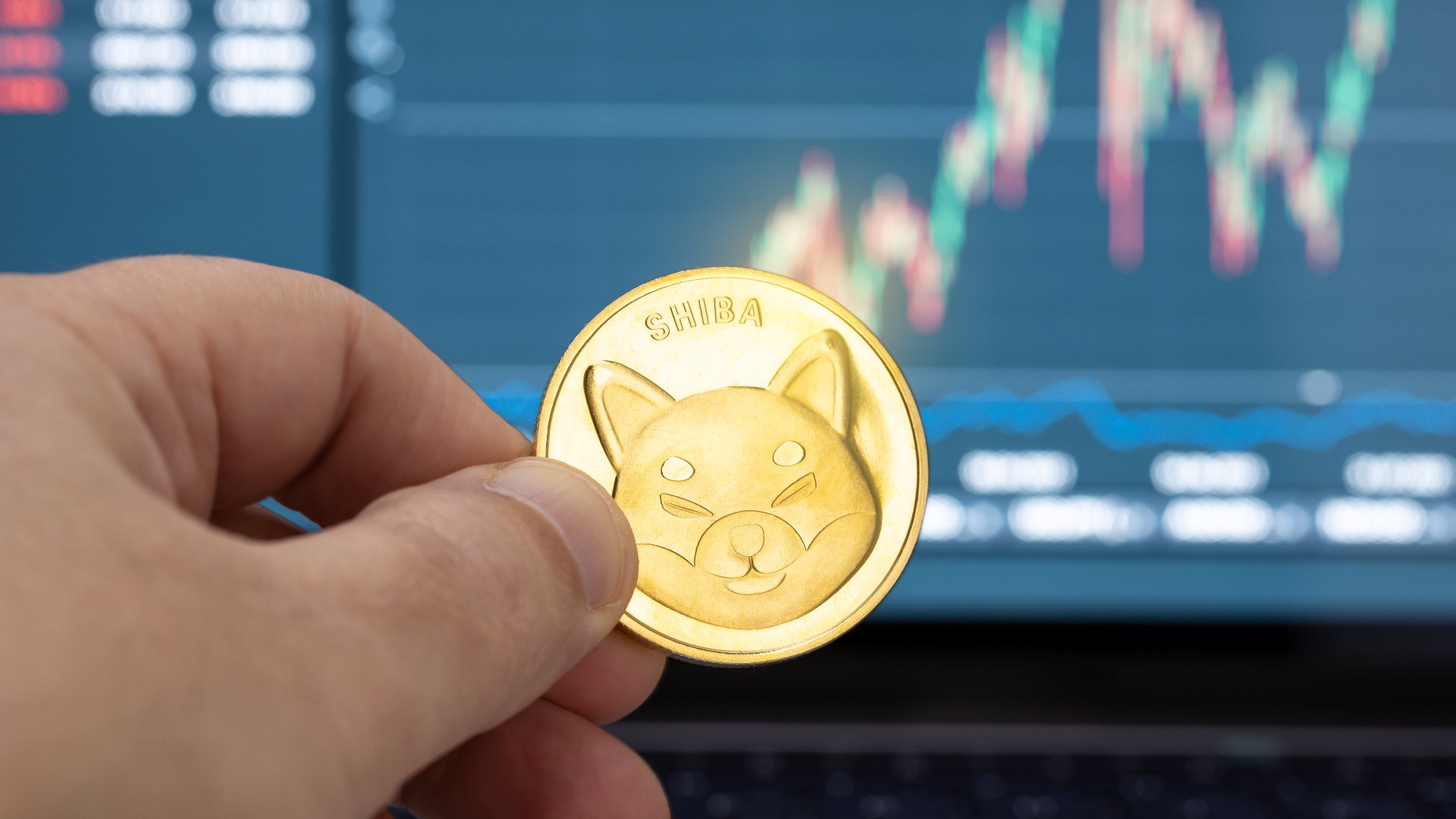 133 Milyon Shiba Yakilirken SHIB Yakma Orani Yuzde 2425 Artti